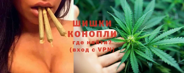 гидра Алексеевка