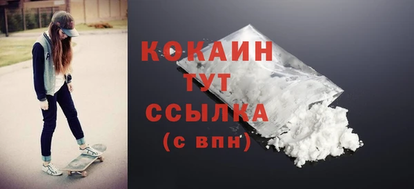 стафф Алзамай