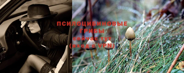 гидра Алексеевка