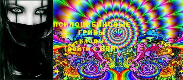 стафф Алзамай