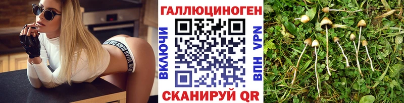 купить наркотики цена  Омутнинск  Псилоцибиновые грибы мухоморы 