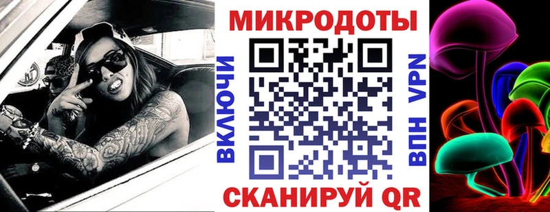 Галлюциногенные грибы Psilocybine cubensis Омутнинск